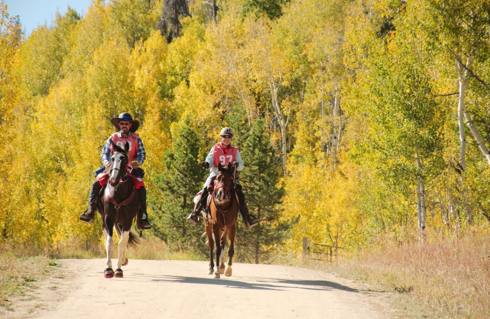 What is Competitive Trail Riding